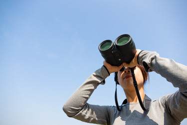 Similar image 11774157