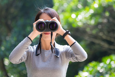 Similar image 11774181