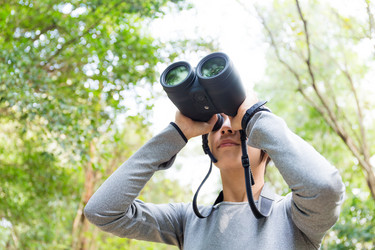 Similar image 11774220