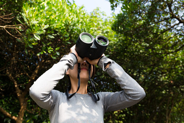 Similar image 11774221