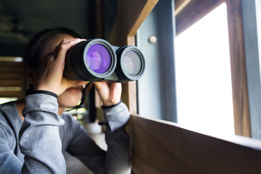 Similar image 11774319