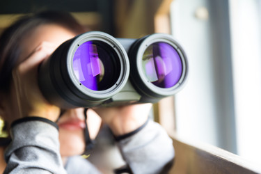 Similar image 11774360