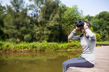 Similar image 11774380