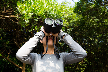 Similar image 11774402