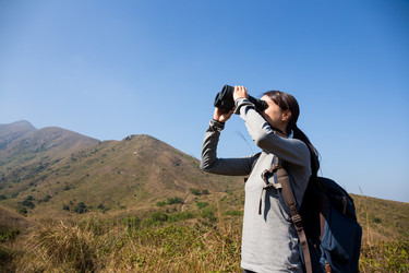 Similar image 11775041