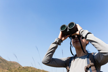 Similar image 11775043