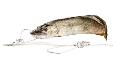 Similar image 11753799