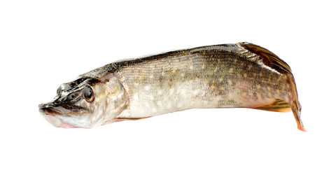 Similar image 11753801