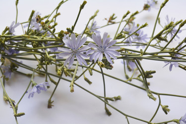 Similar image 11753834