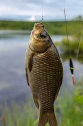 Similar image 11753876