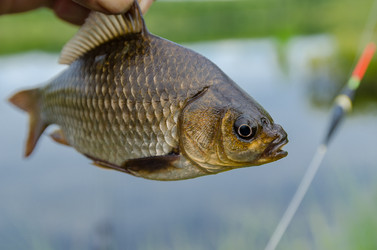 Similar image 11753878