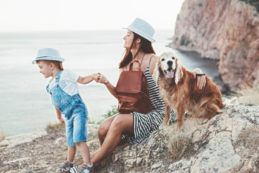 Similar image 11770829