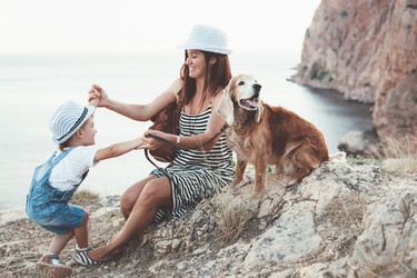 Similar image 11770831