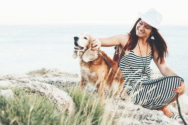 Similar image 11770843