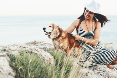 Similar image 11770844