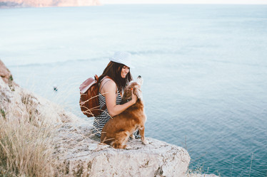 Similar image 11770849