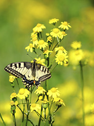 Similar image 11769476