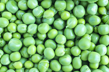 Similar image 11753880