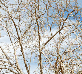 Similar image 11754174