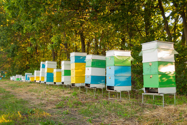 Similar image 11753967