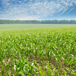 Similar image 11754918