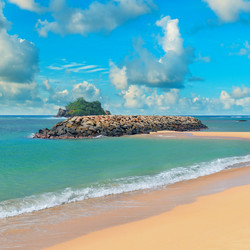 Similar image 11754919