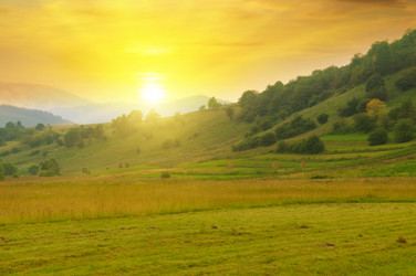 Similar image 11754920