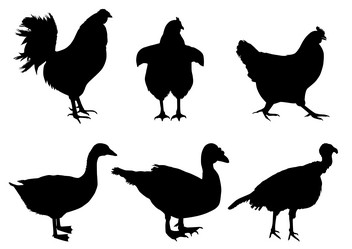 Similar image 11753885