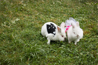 Similar image 11755139