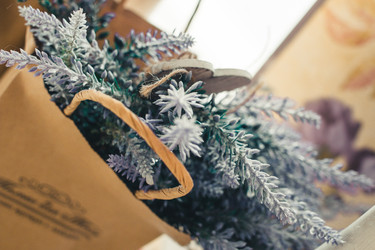 Similar image 11755146