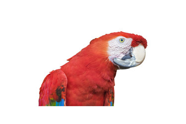 Similar image 11754423