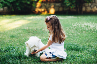 Similar image 11770869