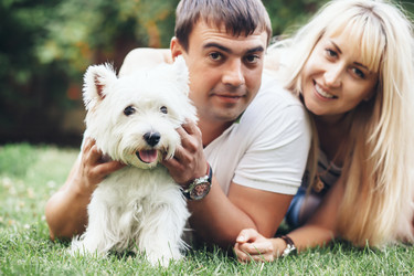 Similar image 11770888