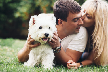 Similar image 11770889