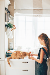 Similar image 11770894