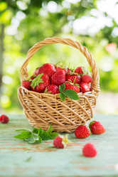 Similar image 11768651