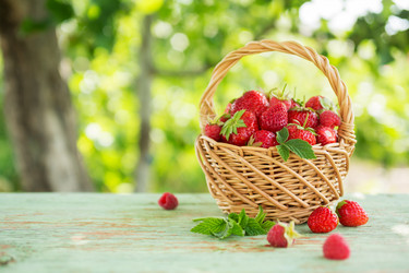 Similar image 11768652