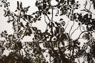 Similar image 11753788