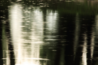 Similar image 11753789