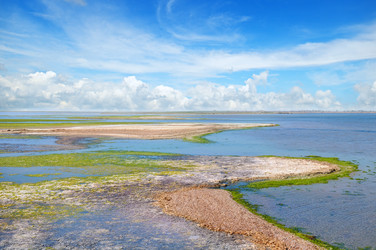 Similar image 11754925