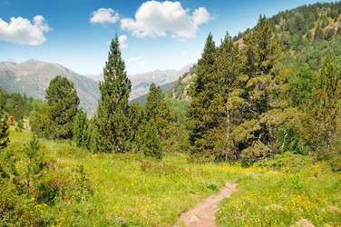 Similar image 11754932