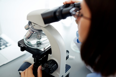 Similar image 11773388