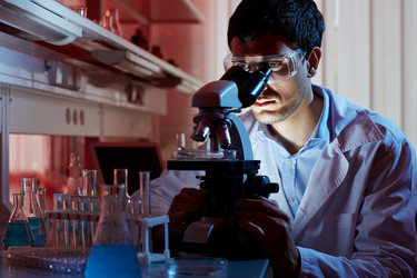 Similar image 11773403