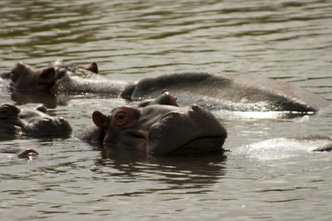 Similar image 11754136