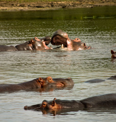 Similar image 11754137