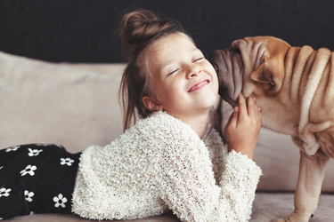 Similar image 11770897