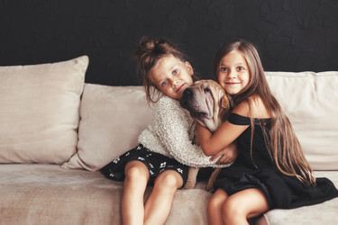 Similar image 11770906