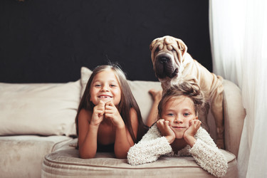 Similar image 11770912