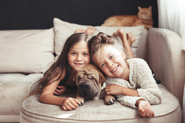 Similar image 11770913