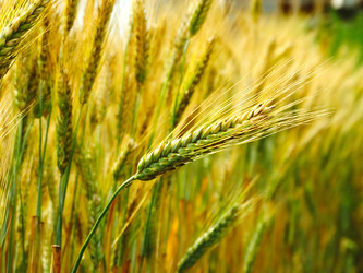 Similar image 11754286